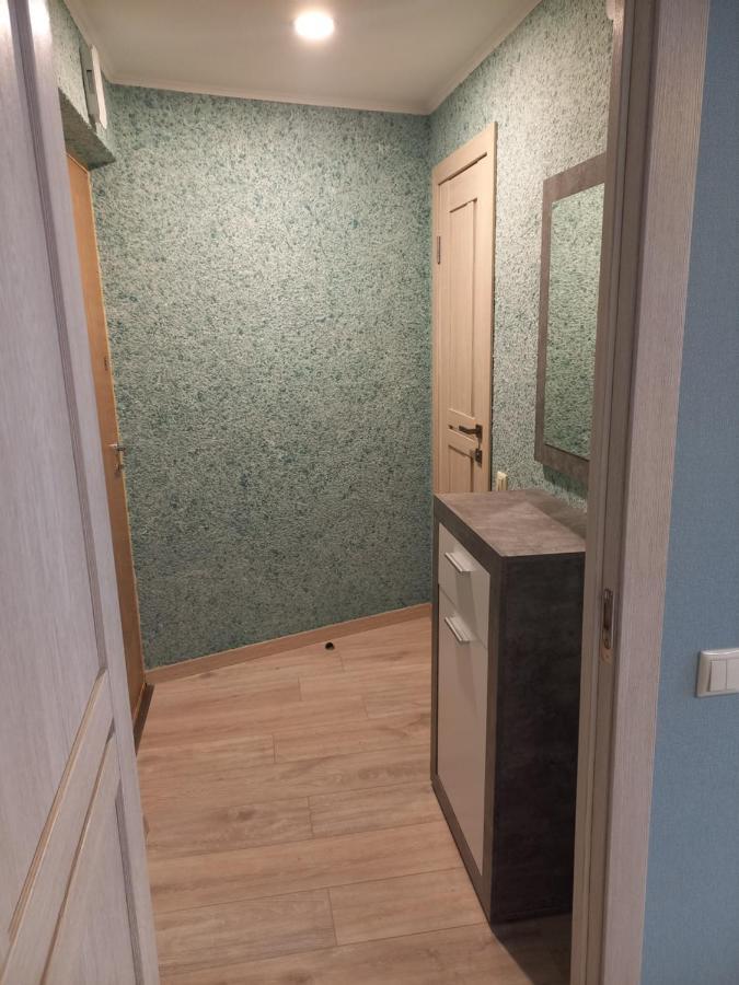 Kandavas Street City Center Apartment 陶格夫匹尔斯 外观 照片